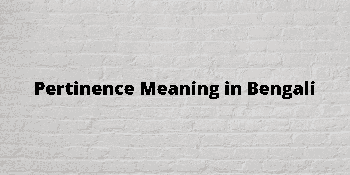 pertinence