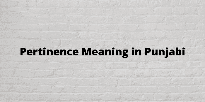 pertinence