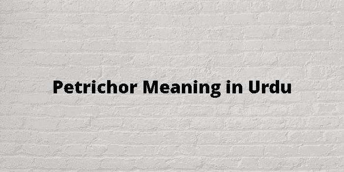 petrichor-meaning-in-urdu