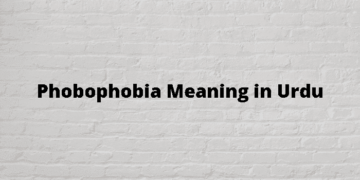 phobophobia