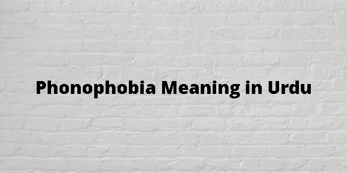 phonophobia