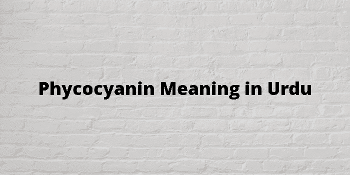 phycocyanin