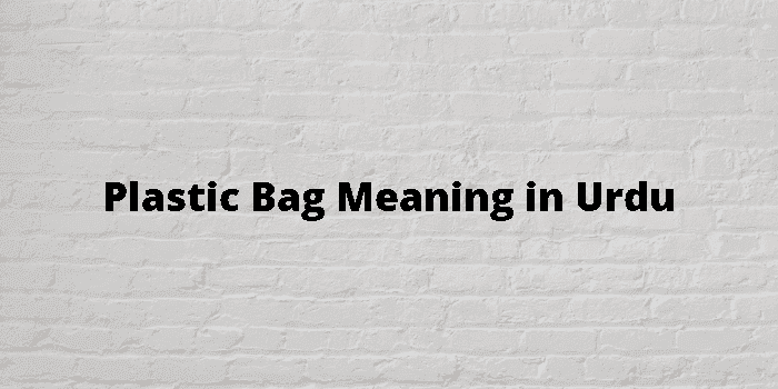 plastic-bag-meaning-in-urdu