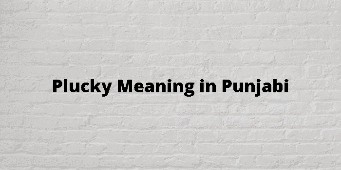 plucky