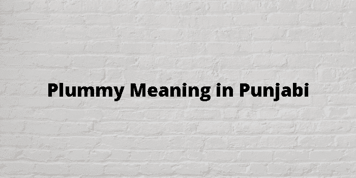 plummy