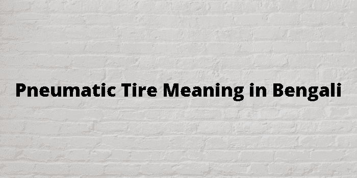 pneumatic tire