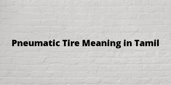 pneumatic tire