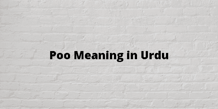 poo