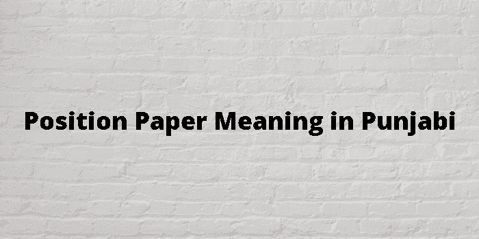 position-paper-meaning-in-punjabi