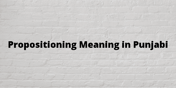 propositioning-meaning-in-punjabi