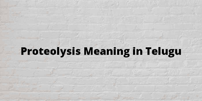 proteolysis