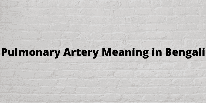 pulmonary artery