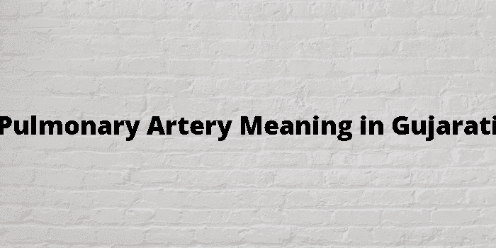 pulmonary artery