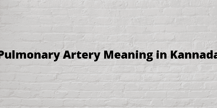 pulmonary artery