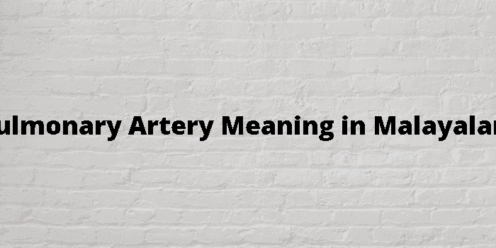 pulmonary artery