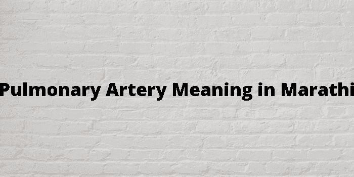 pulmonary artery