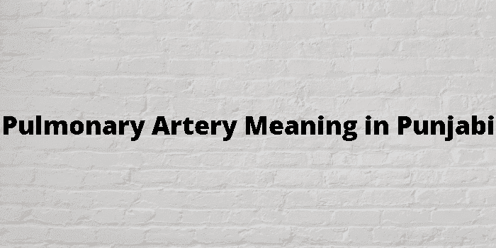 pulmonary artery