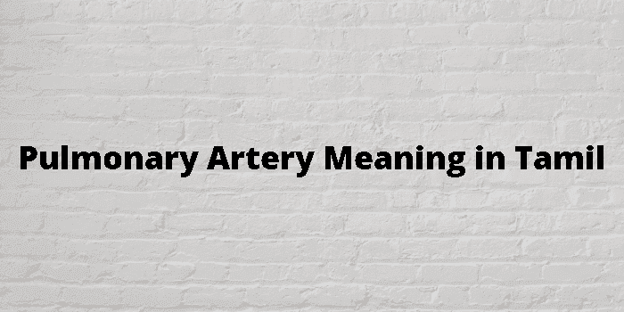 pulmonary artery