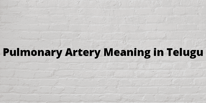 pulmonary artery