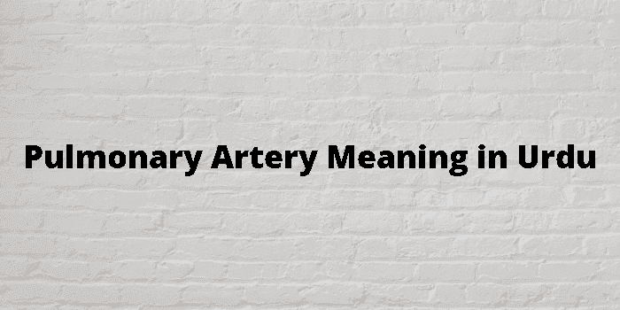 pulmonary artery