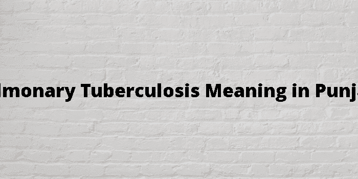 pulmonary tuberculosis