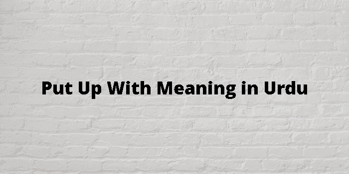 put-up-with-meaning-in-urdu