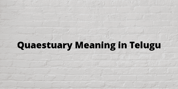 quaestuary