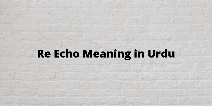 re echo