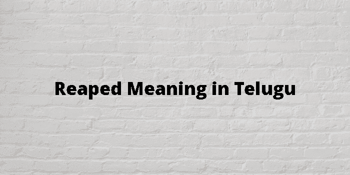 reaped-meaning-in-telugu