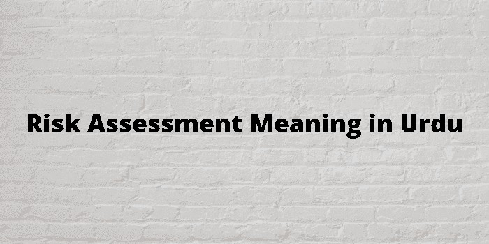 risk-assessment-meaning-in-urdu