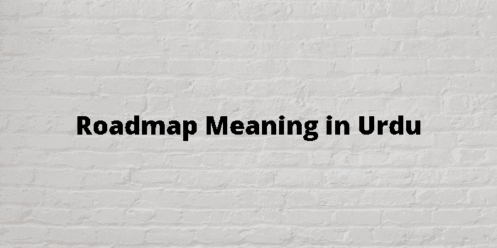 roadmap-meaning-in-urdu