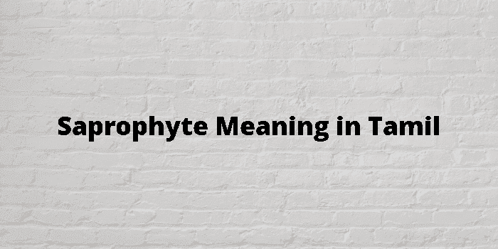 saprophyte