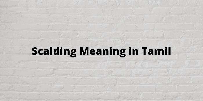 scalding meaning