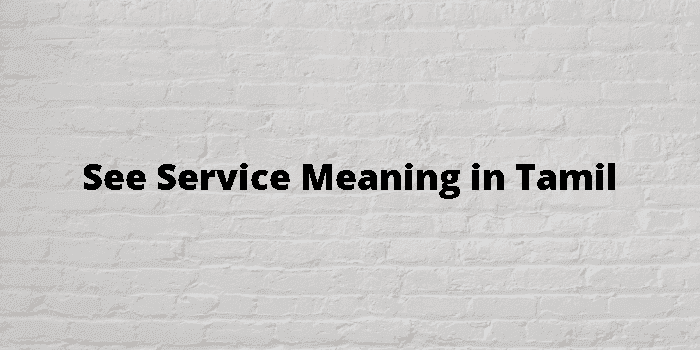 see service