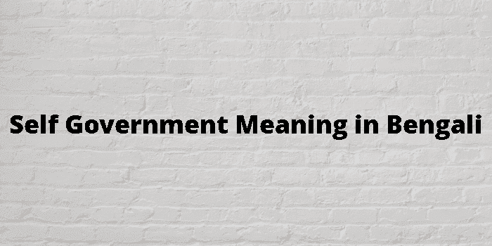 self government