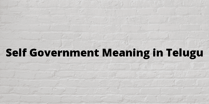 self government