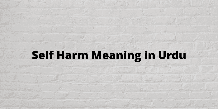 Harm Meaning In Urdu