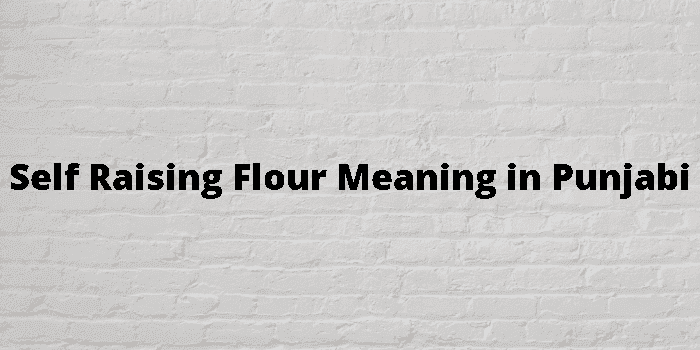 self raising flour