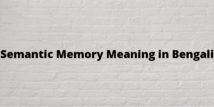 semantic memory