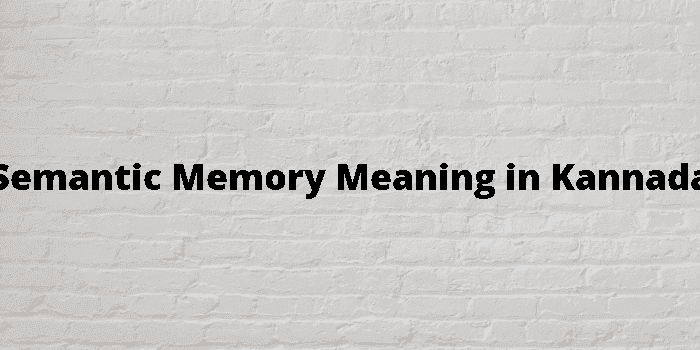 semantic memory