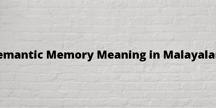 semantic memory