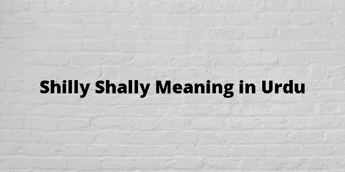 shilly shally