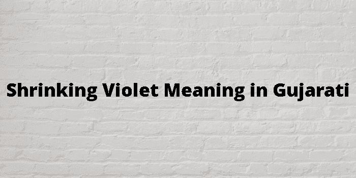 shrinking violet