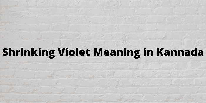 shrinking violet