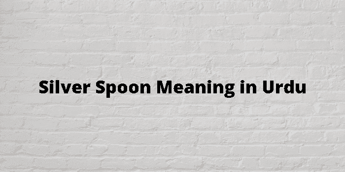 silver spoon