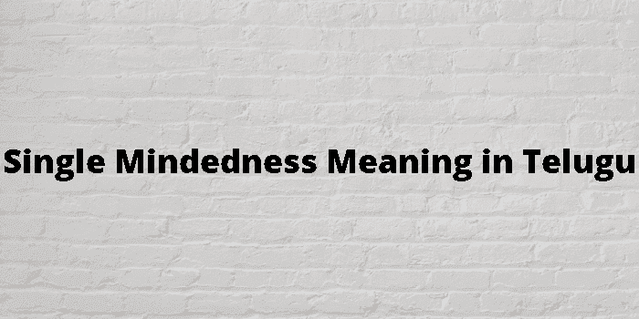 single mindedness