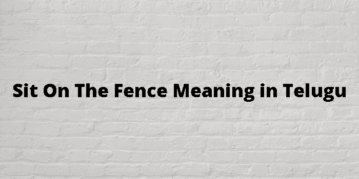 sit on the fence
