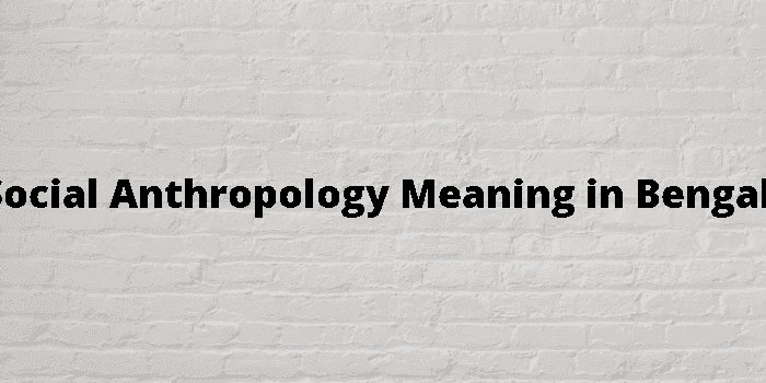 social anthropology