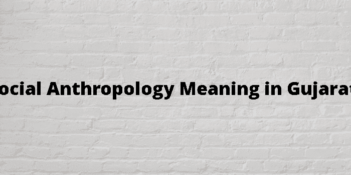 social anthropology