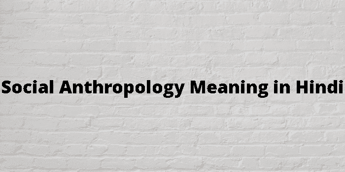 social anthropology